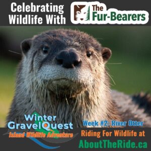 601813119 903058292057790 2092667072648754133 n