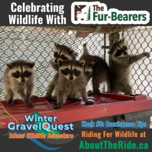 630239270 939863398377279 7498414397266814033 n