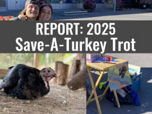 atr blog featured satt 2025