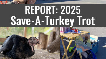 atr blog featured satt 2025