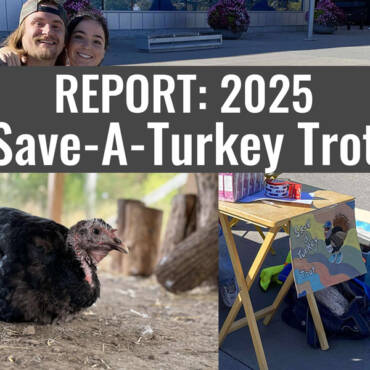 Report: 2025 Save-A-Turkey Trot