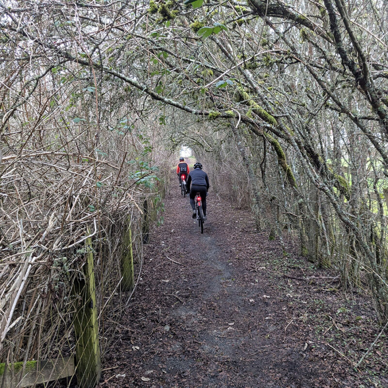 atr gravelquest s1 w6 quicks bottom