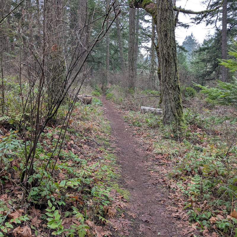 atr gravelquest s1 w6 timed