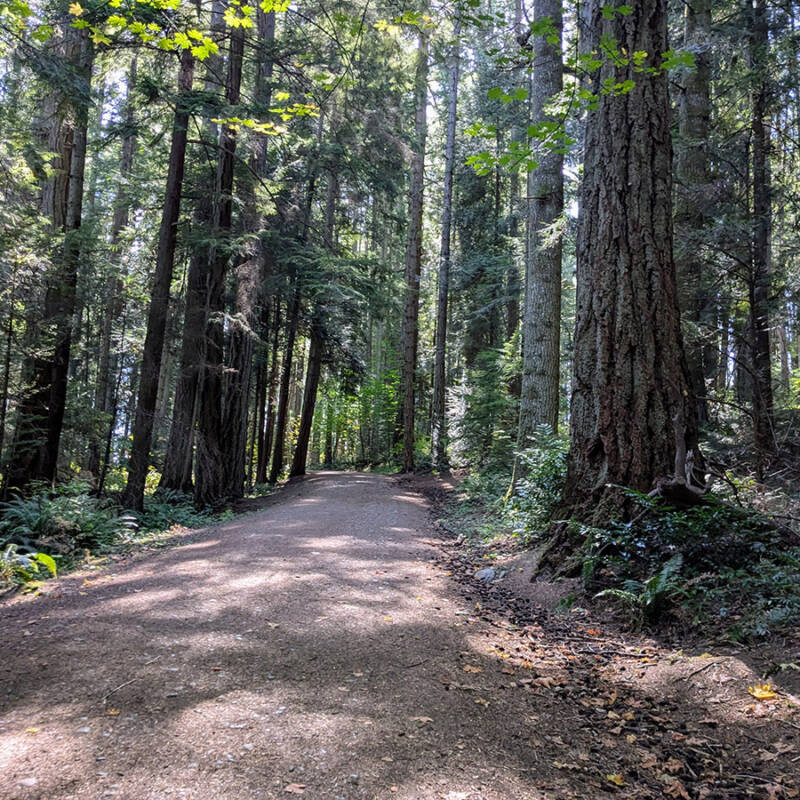 atr-vsc-s9-w3-nice-sights