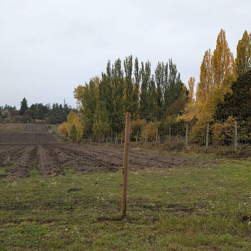 atr vsc s9 w6 strawberry fields forever