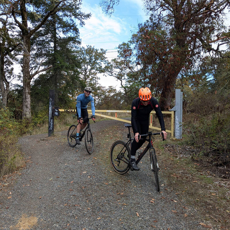 atr vsc s9 w6 the gate