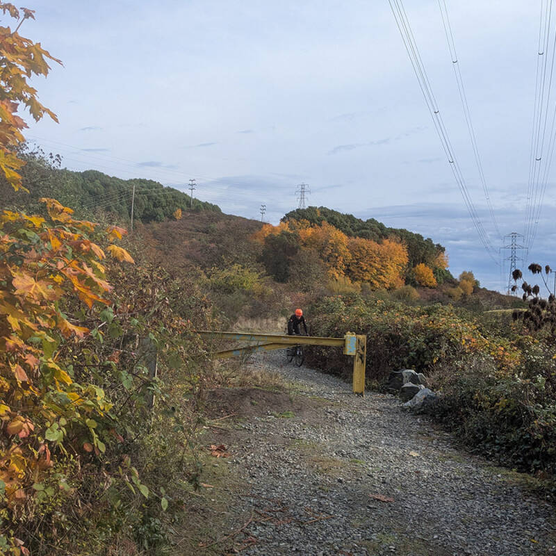 atr vsc s9 w7 end of hector