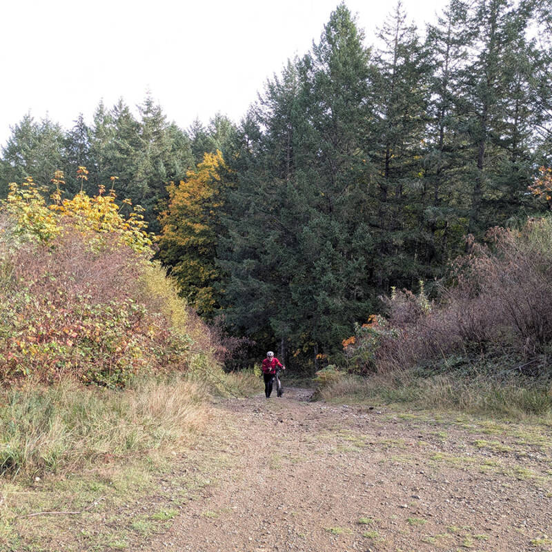 atr vsc s9 w7 panhandle climb