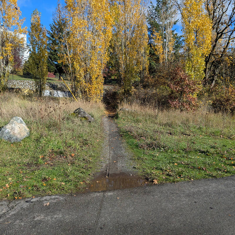 atr vsc s9 w8 boring trail