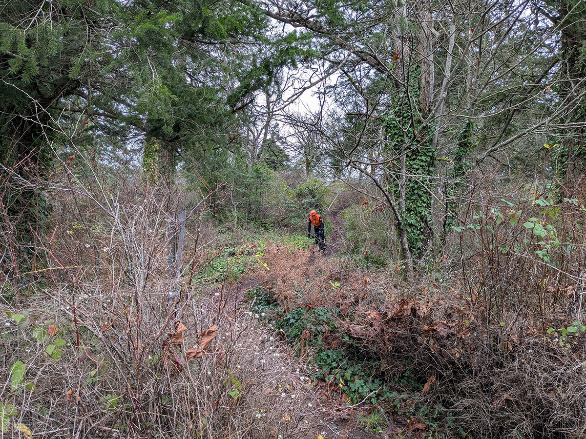 gravelquest s1 w1 strawberry knoll