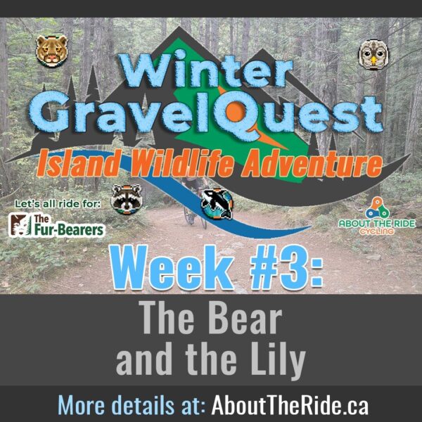 winter gravelquest s1 week 3