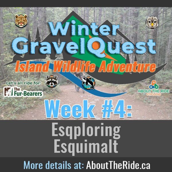 winter gravelquest s1 week 3