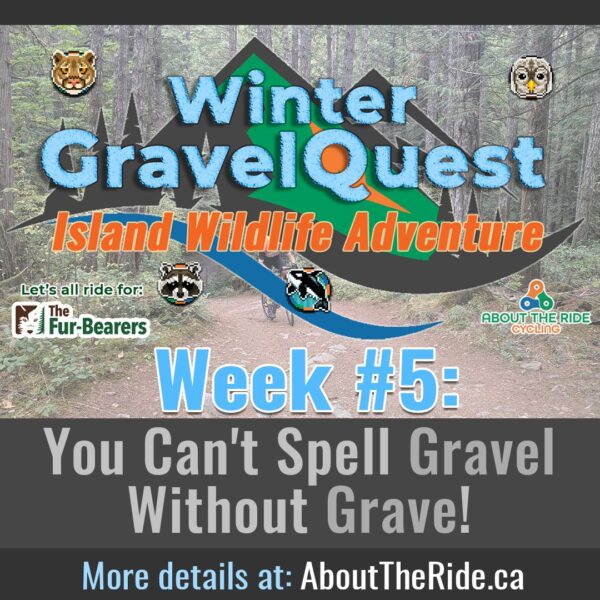 winter gravelquest s1 week 5