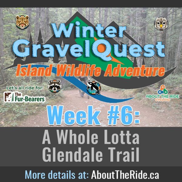 winter gravelquest s1 week 6