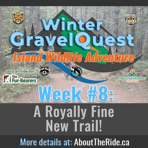 winter gravelquest s1 week7 