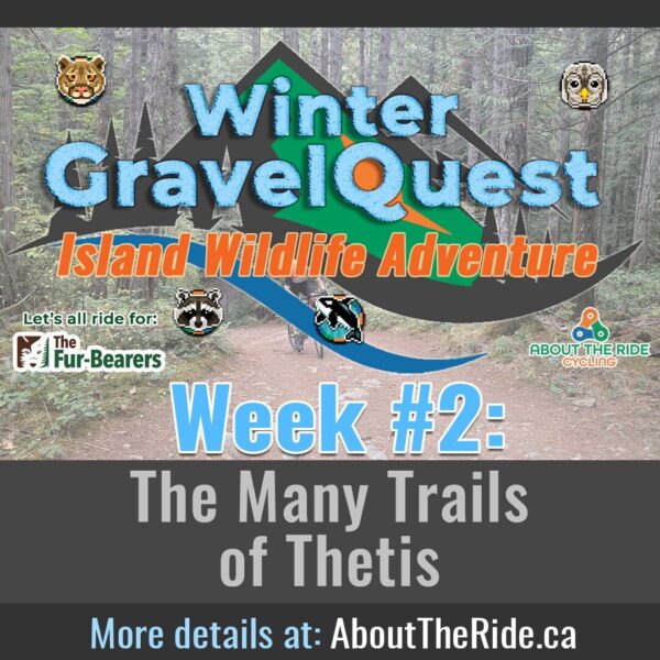 winter gravelquest s1 week2