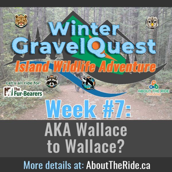winter gravelquest s1 week7 